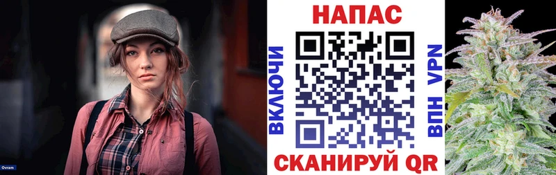 Купить Кашин Каннабис  МЕФ  MDMA  ГАШ  Cocaine 