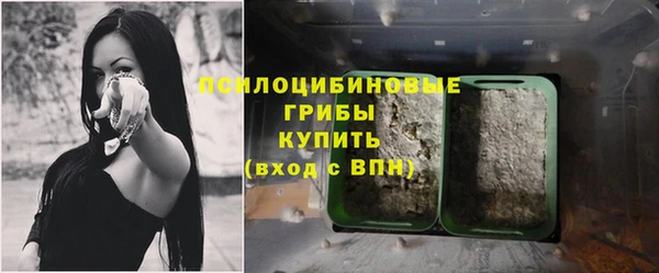 амф Нефтегорск