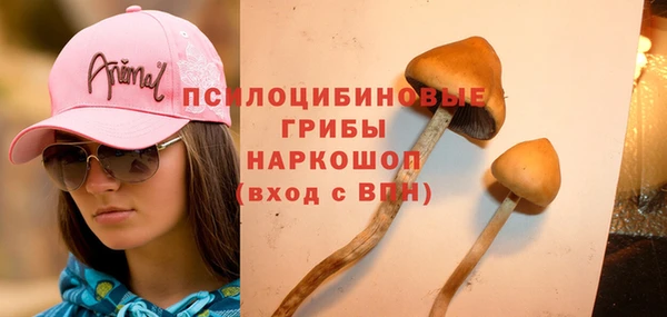 амф Нефтегорск