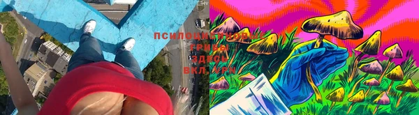 бутират Нефтекумск